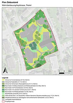 Plan Zielzustand Wohnsiedlung Asylstrasse in Thalwil
