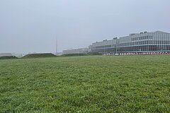 Initial condition: species-poor nutrient rich meadow in fall 2024