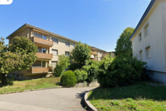 Initial state: Development with structurally poor green space with lawn and ornamental shrubs, 2022