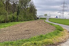 Soil preparation of the area in february 2025