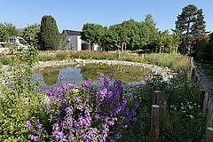 Fertiggestelltes Naturprojekt im Mai 2026