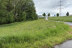 Übersicht Naturfläche Wasenbächli Hammer in Cham im Mai 2026