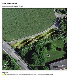 Plan of nature area Wasenbächli/Hammer at Cham, Zug