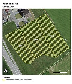 Plan of nature area Eizmoos in Cham, ZG