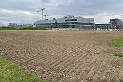 Soil preparation in february 2025